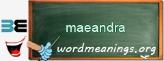 WordMeaning blackboard for maeandra